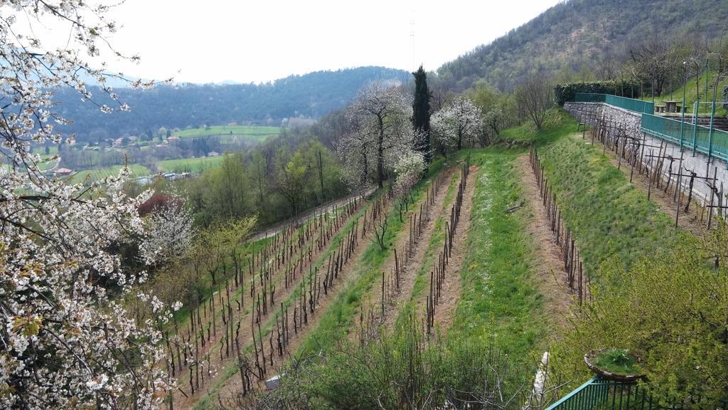 Bed and Breakfast Agriturismo Il Mirabile Трескоре-Бальнеарио Экстерьер фото