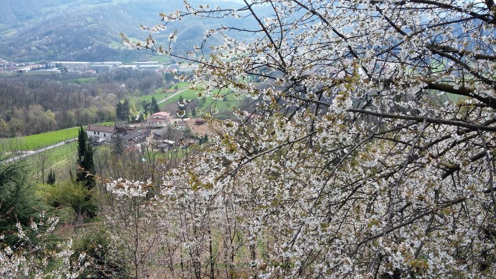 Bed and Breakfast Agriturismo Il Mirabile Трескоре-Бальнеарио Экстерьер фото